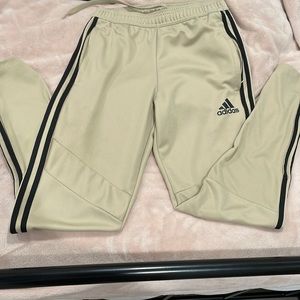 Adidas Training Pant